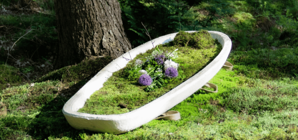 Epitrace and asset tracking software. Burials sector innovations - Loop biotech living coffins using mushrooms and mycellium