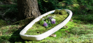 Loop biotech living coffins using mushrooms and mycellium